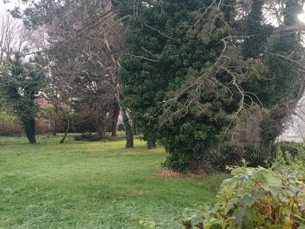 Offres de vente Terrain Le Crotoy 80550